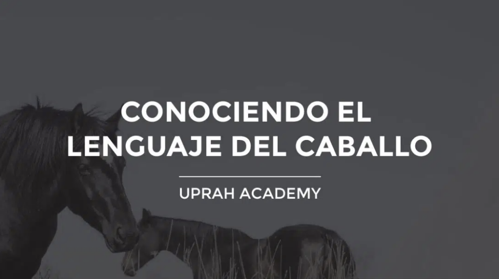 Curso online CONOCIENDO EL LENGUAJE DEL CABALLO