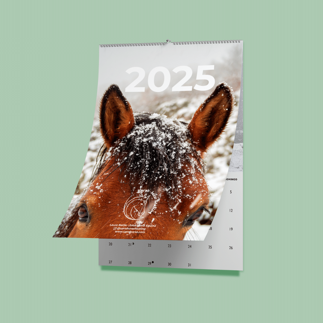 Calendario 2025